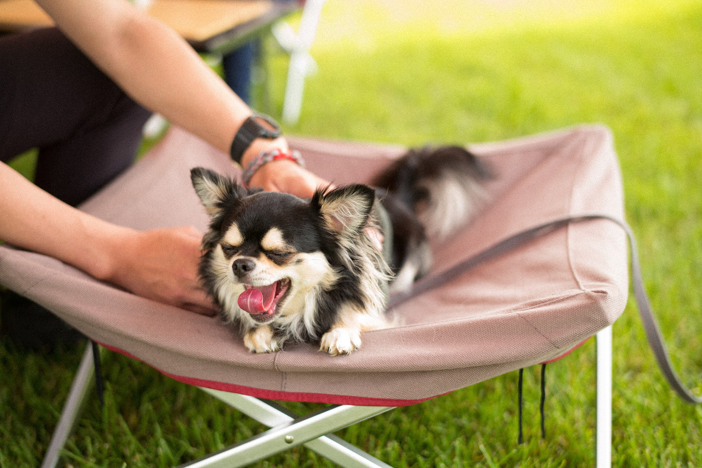 SNOW PEAK DOG COT