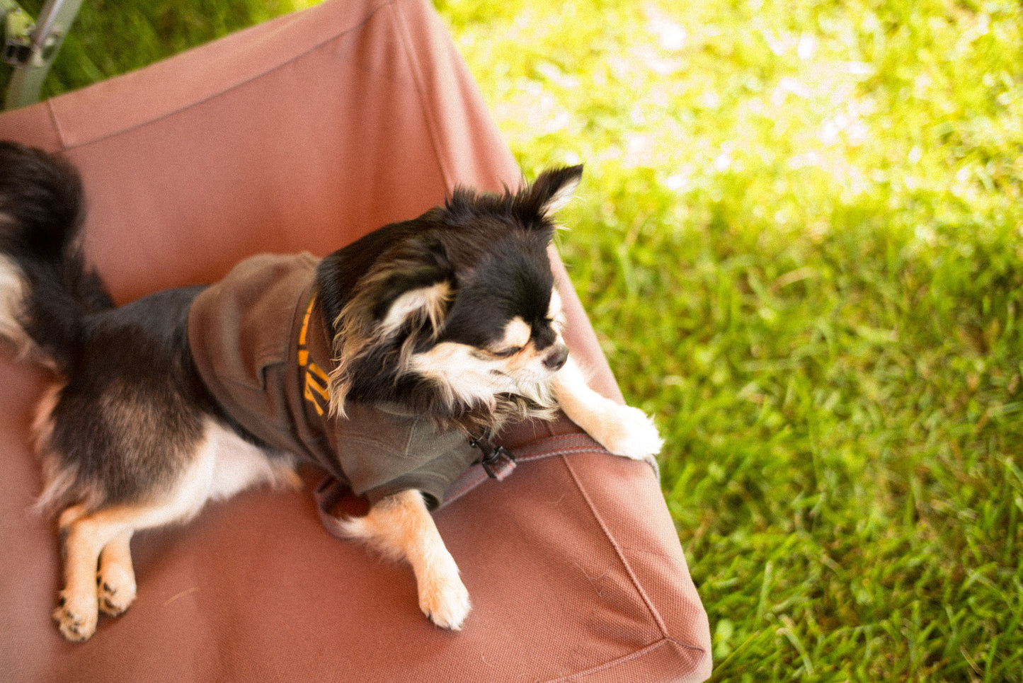 SNOW PEAK DOG COT